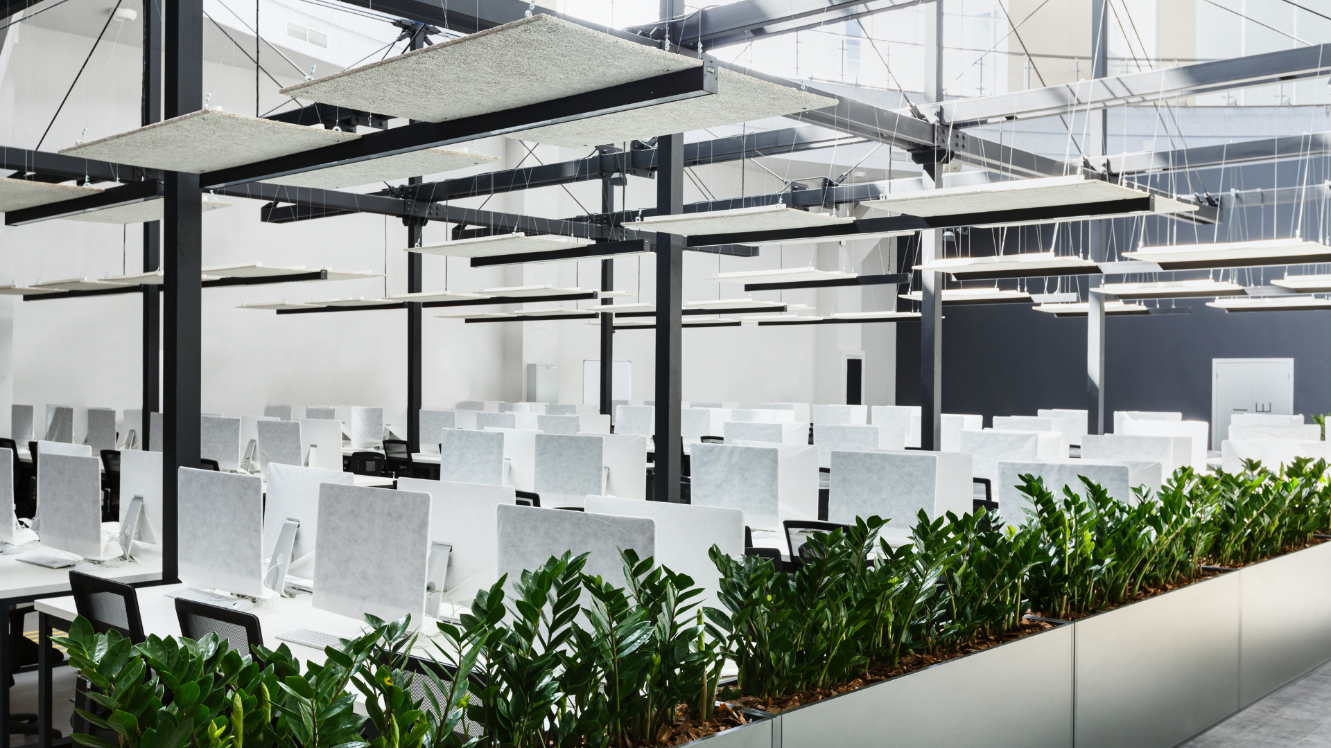 office desks with plants